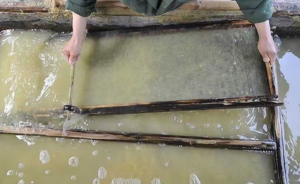 0faa559cec5ce7729d3f764c35e3250c.png 0faa559cec5ce7729d3f764c35e3250c.png